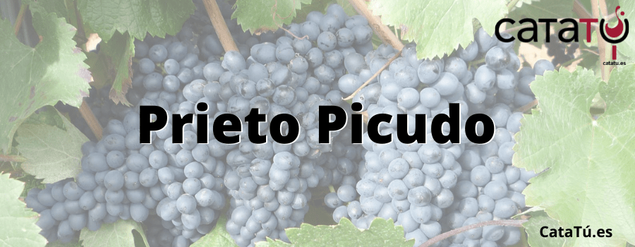 Prieto Picudo