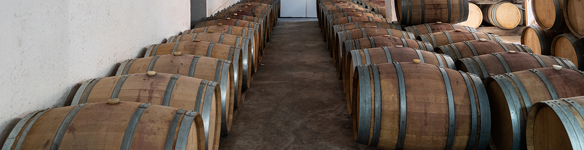 Terracotta Wines Bodega