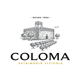 Bodega: Coloma Viñedos y Bodegas