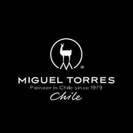 Conoce los vinos de Chile con Miguel Torres Chile