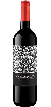 Carlos Plaza Joven 2019