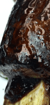 Costilla De Ternera Suprema Gallega Asada A Baja Temperatura
