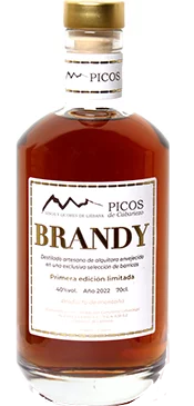 Brandy Picos