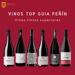 *Vinos top de la Guía Peñín con MG Wines 🥇